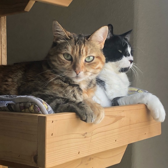 Meet your Posher, Polina - Picture 2 of 2